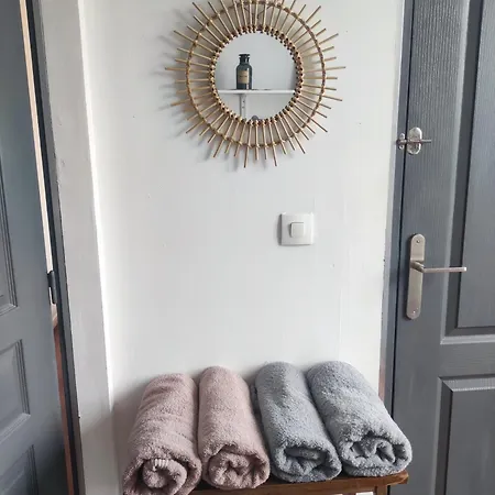 Maison De Charme Avec Jacuzzi * Saint-Etienne (Loire)